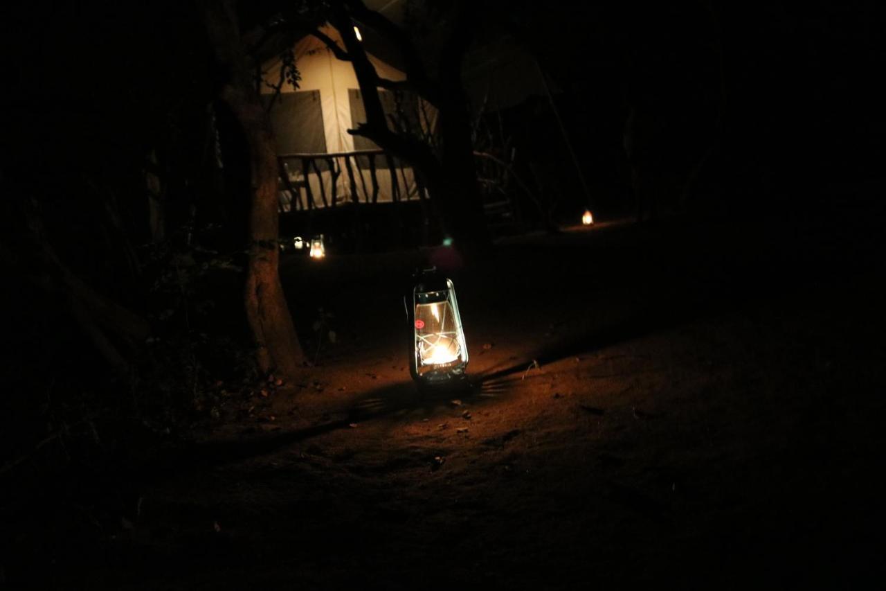 Yala Wild Corridor Camp Hotel Tissamaharama Exterior photo